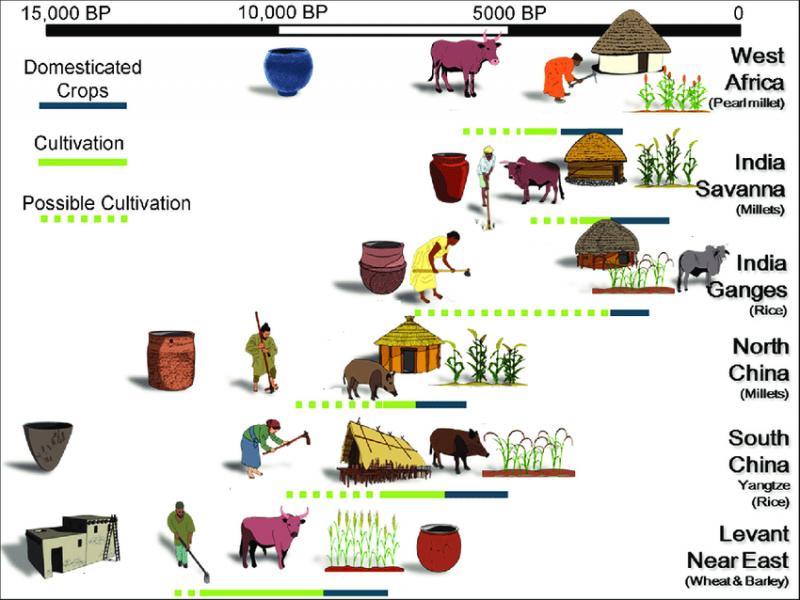 A Comparative Timeline Of Pathways To The Neolithic Indicating The Advent Of Sedentism